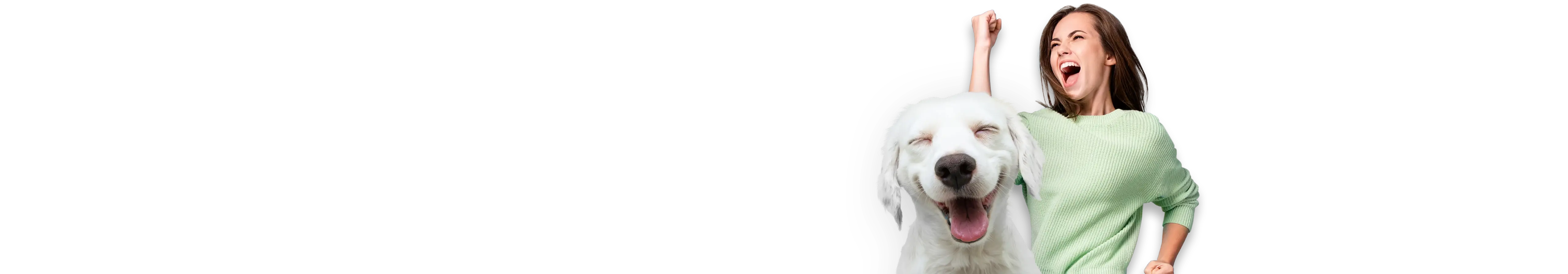 your pawtner in health