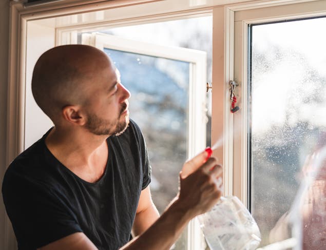 Everything you need to know about black mould 