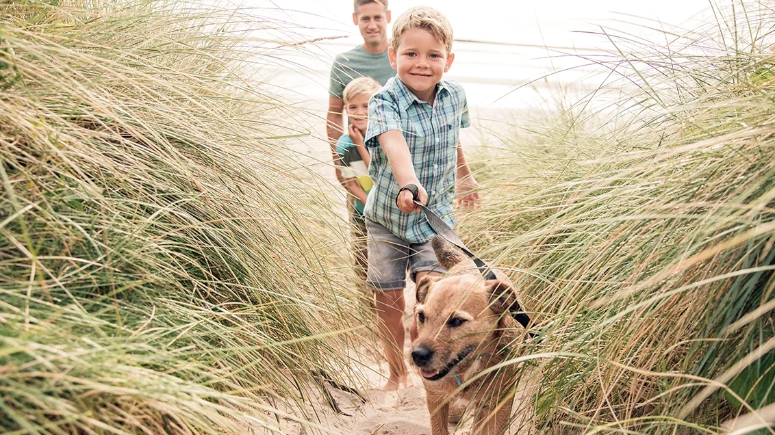 Father, two kids and their dog running through the grass at the beach