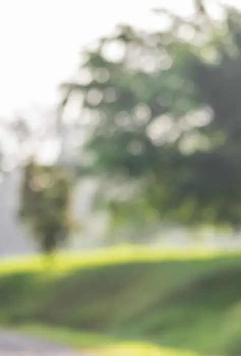Blurred background of a sunny park