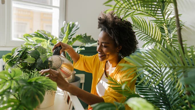 A woman happily waters her indoor plants, which is great way to live low tox.