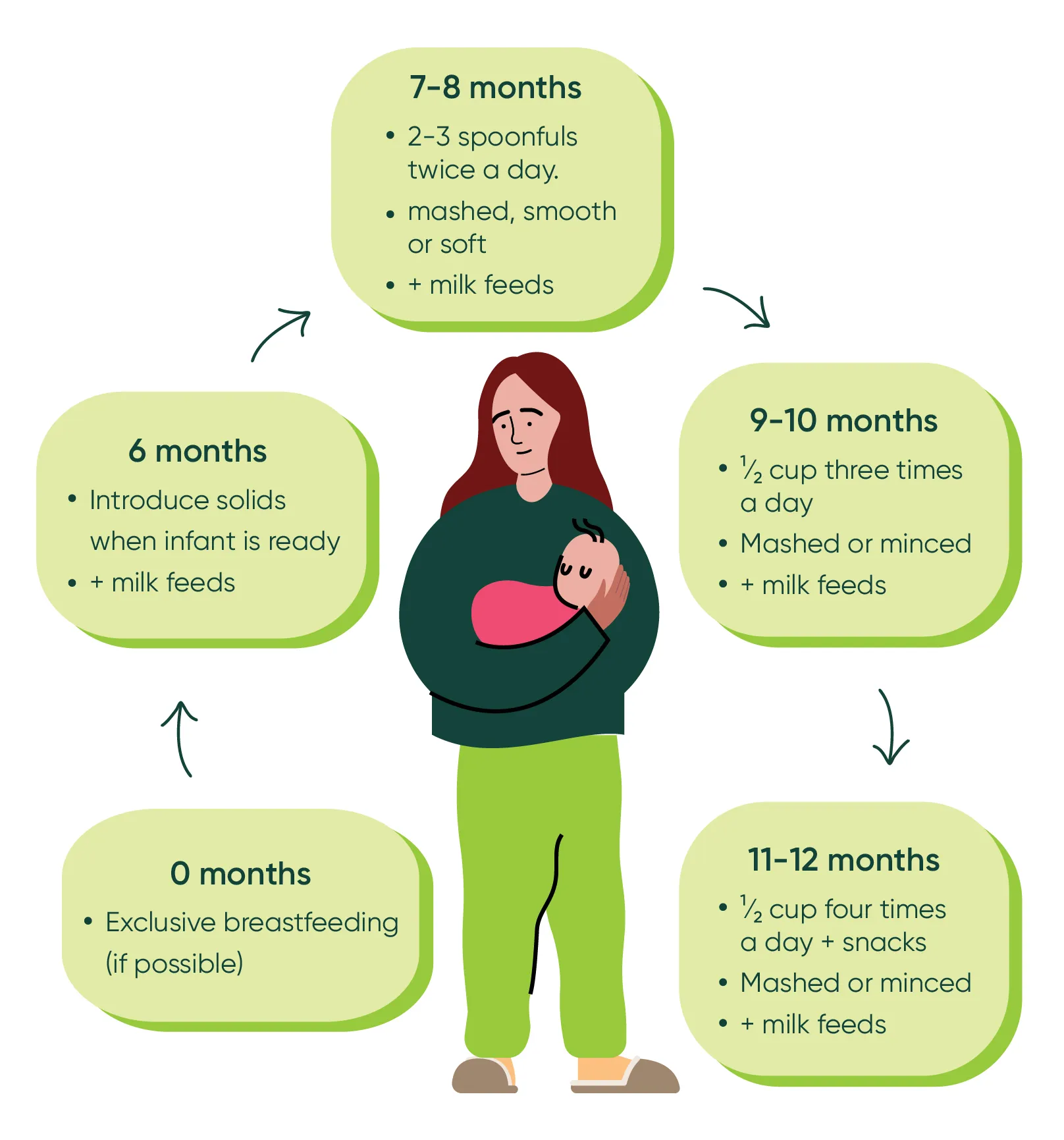 Babies should be offered a range of foods from 6 months of age onwards to meet nutritional and development requirements.