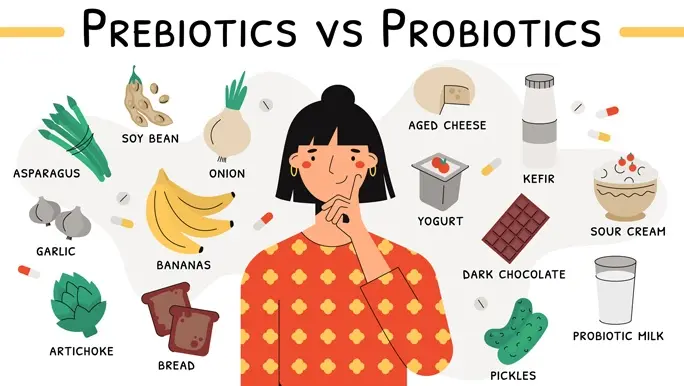  illustration of a female thinking about the differences between probiotics and prebiotics. Sources of these bacteria are flying around. Nutrient-rich food. Soy bean, yogurt, asparagus, kefir.
