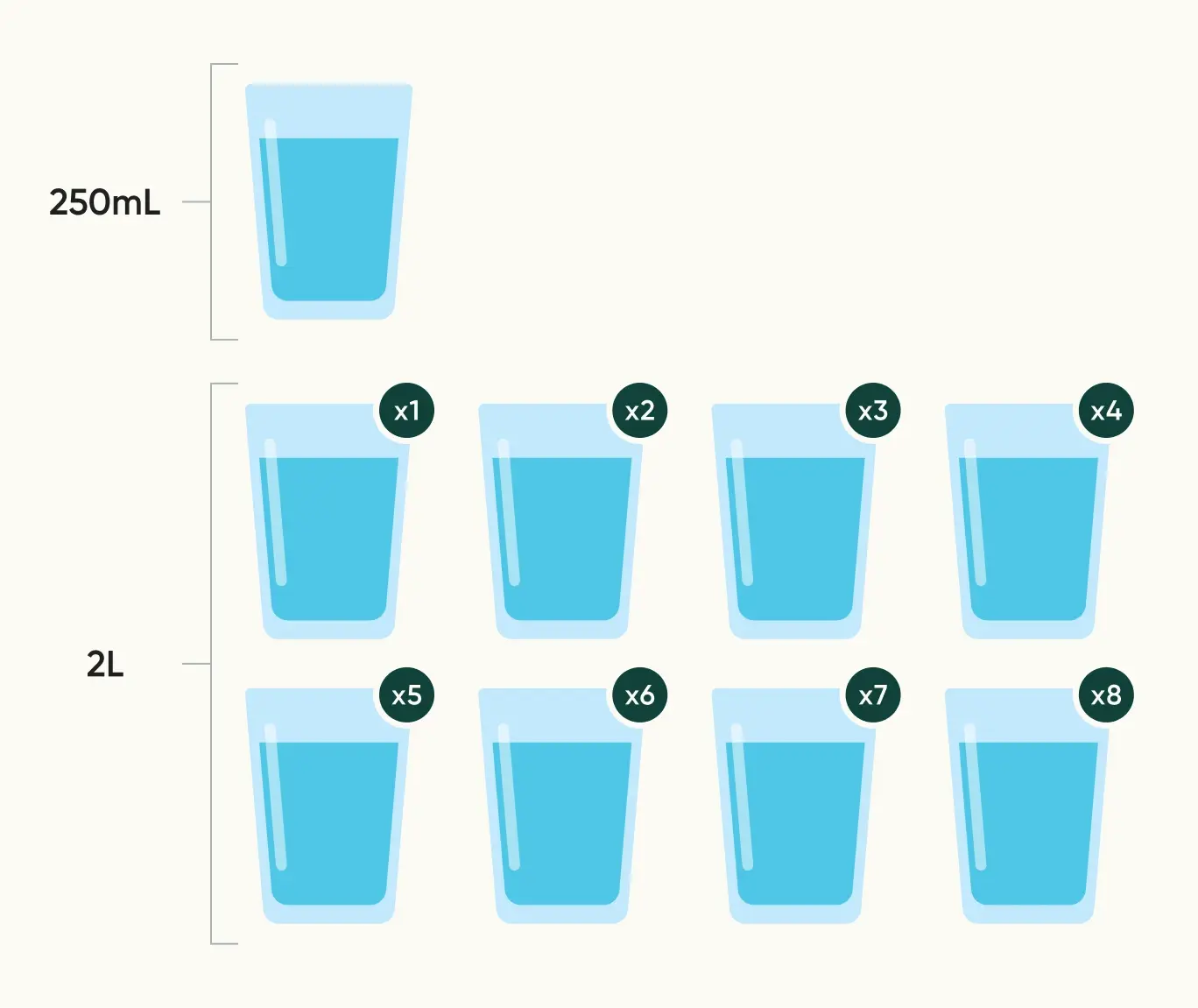 How many cups a day of water