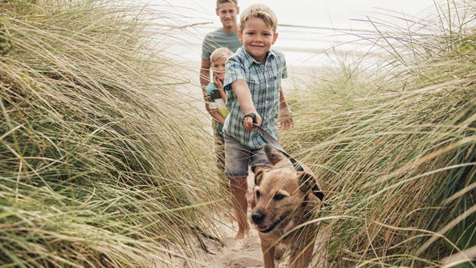 A family walks their dog on a sand dune, the dog definitely believes in the benefits of walking everyday. 