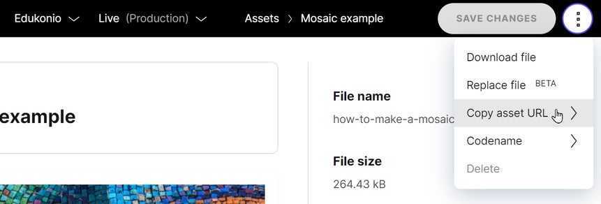 Getting the public URL of an asset