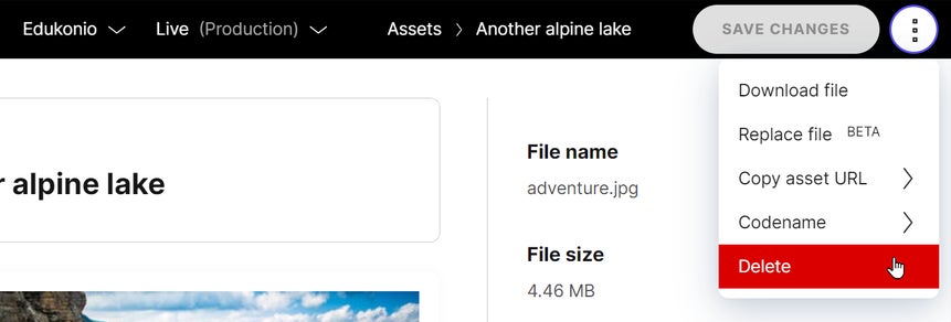 Deleting an asset from the asset library