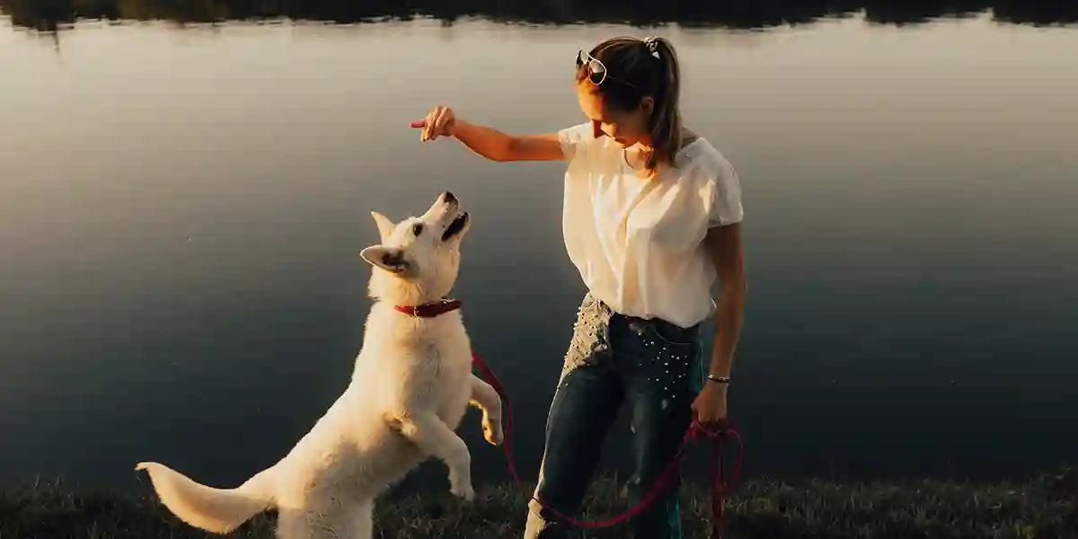 Woman showing good leadership habits with a dog