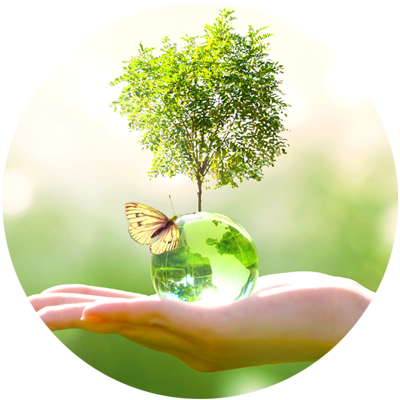 Hand holding a glass globe with yellow butterfly landing on globe and a small tree behind the globe.?auto=format&q=75