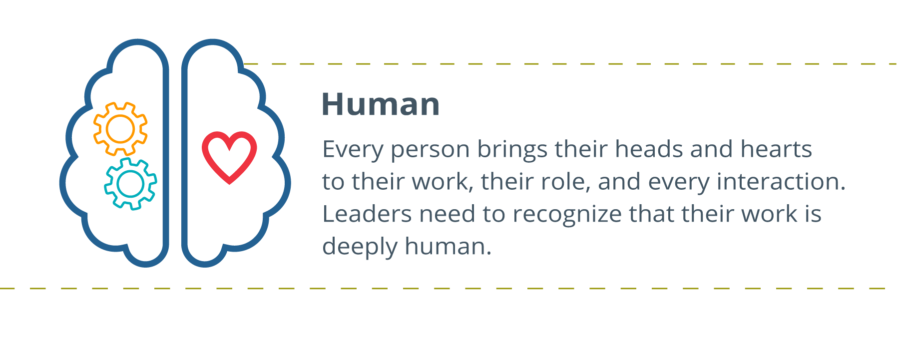 two halves of the outlines of the brain are shown, to the left the outline is filled with gears, and to the right, the outline has a heart in it, written to the right: Human: Every person brings their heads and hearts to their work, their role, and every interaction. Leaders need to recognize that their work is deeply human.