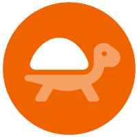 icon of a turtle to show that one of the reasons why you need to start having succession planning conversations now is that you don't want to be unprepared when your CEO leaves unexpectedly  