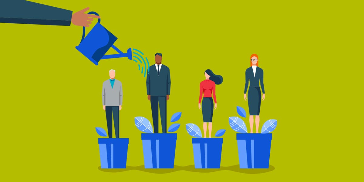 illustration of four leaders, each in a pot with a plant coming out,  with one leader being watered by a business coach to show that this blog is about coaching competencies for managers