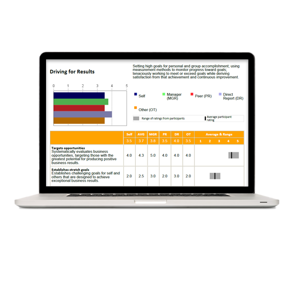 A DDI Leadership Mirror report on a laptop?auto=format&q=75