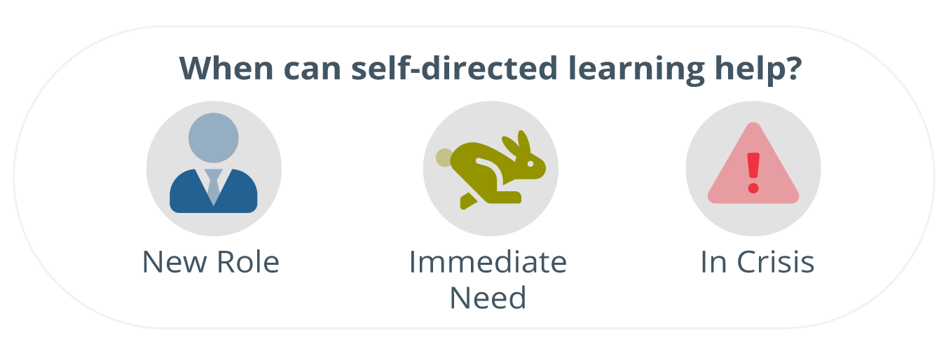 When can self-directed leadership development help? written up top as a title, with three icons for each instance underneath it: a professional business person icon for New Role, a rabbit in the middle of running for Immediate Need, and a yield symbol for In Crisis