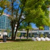 Towne Square - Grass field
