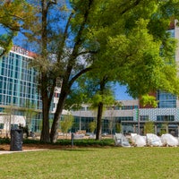 Towne Square - Grass field