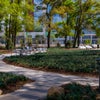 Towne Square - Pathway