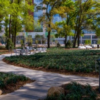 Towne Square - Pathway