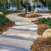 Towne Square - Walkway