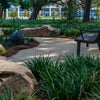 Town Square -- Park-Like with Walking Paths