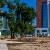 Community Park Construction