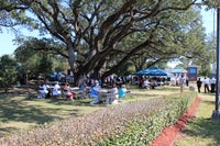 The canopy of oaks has provided shade for many celebrations.