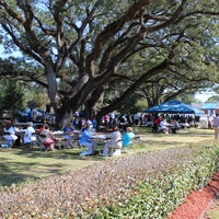 The canopy of oaks has provided shade for many celebrations.