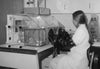 Team member busy at work—anerobic glove box.