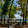 Towne Square - Pathway through trees