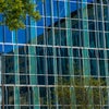 Bear Health Center - Glass wall feature