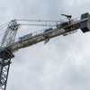 Crane with American Flag