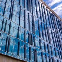 Exterior Windows