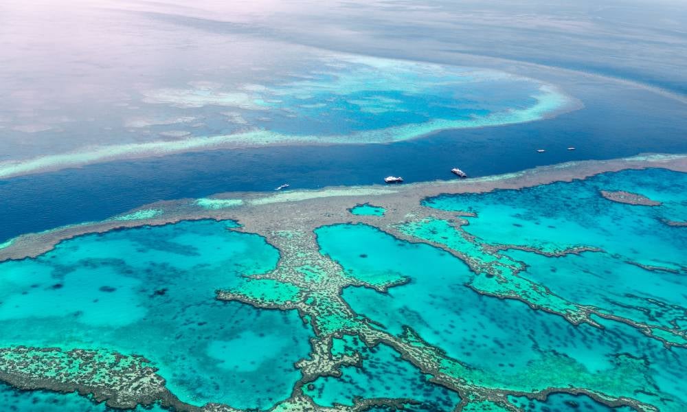 Key leadership challenges in protecting the Great Barrier Reef.jpg
