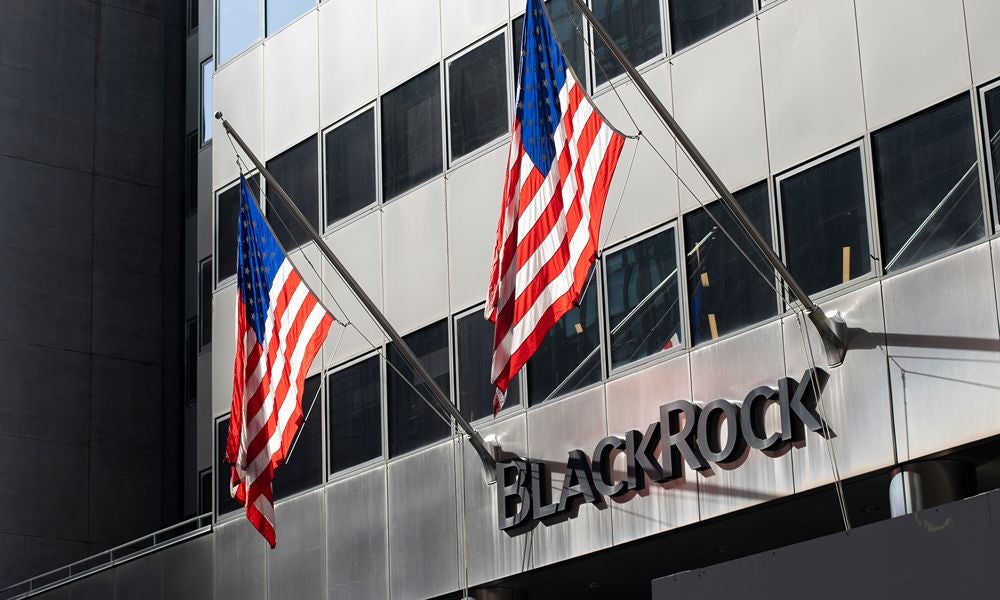 BlackRock’s team voted at 16,593 meetings on more than 154,000 proposals.jpeg