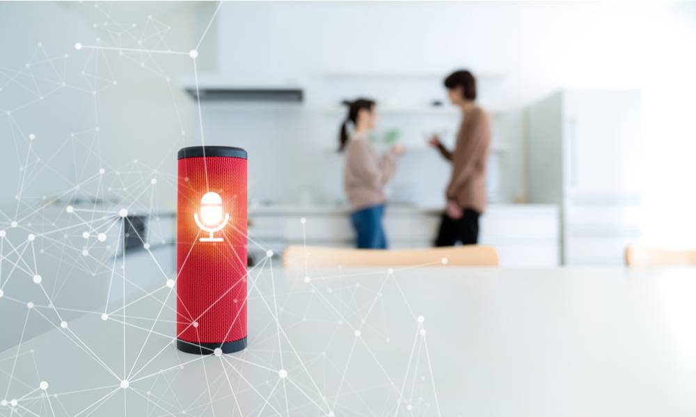 Smart speakers with couple standing in the background (1).jpg