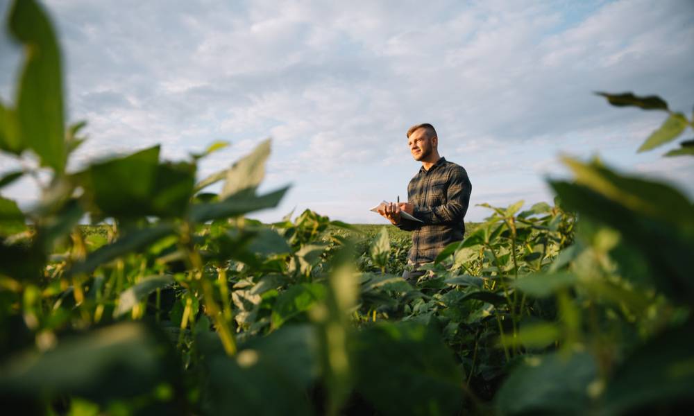 Farmer inspecting crops growing in the farm field (1).jpg