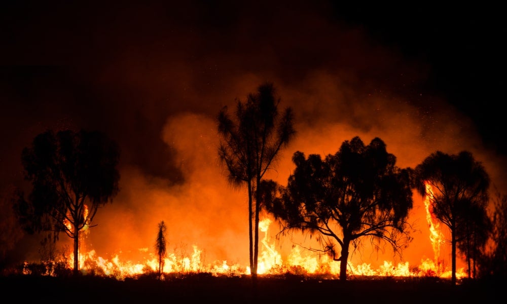 Australia bushfires-min.jpg