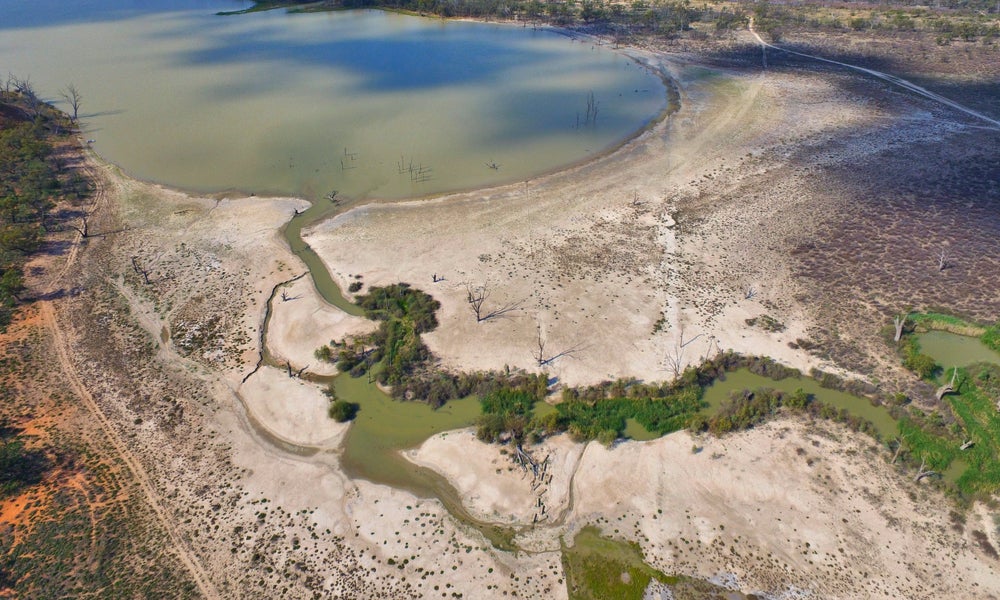 Drought stricken Murray rivery aerial view -min.jpg