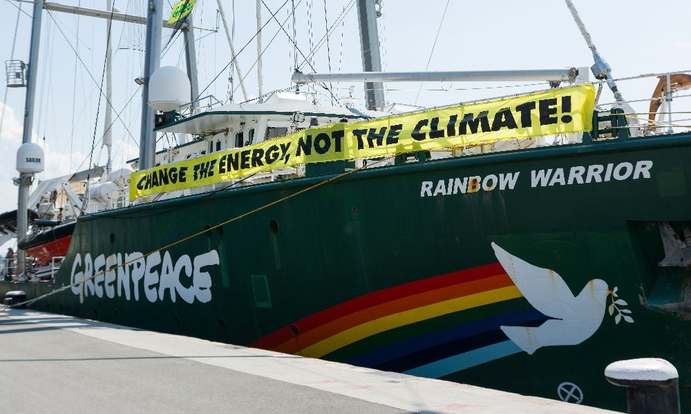 Ms Rubinsztein said some companies would no longer consider her for board roles once they saw she was associated with Greenpeace.jpeg