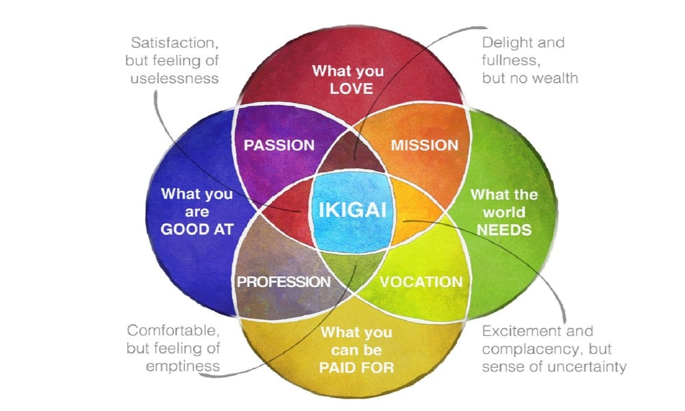 “Ikigai” is a Japanese word and concept which means a reason for being, a sense of purpose and passion that gives value and joy to life.jpg