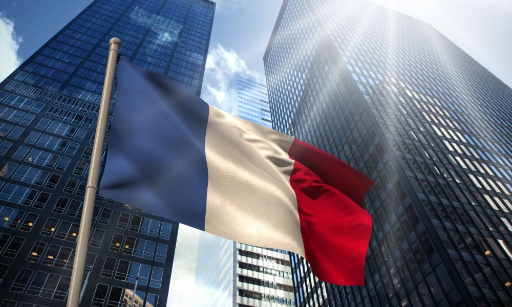 The French government plays a significant role in large active investment funds.jpeg