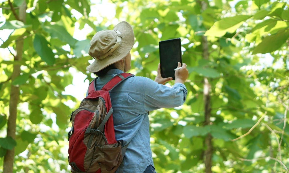Citizens can use digital sutainability technologies to come up with responses to help mitigate climate change-min.jpg