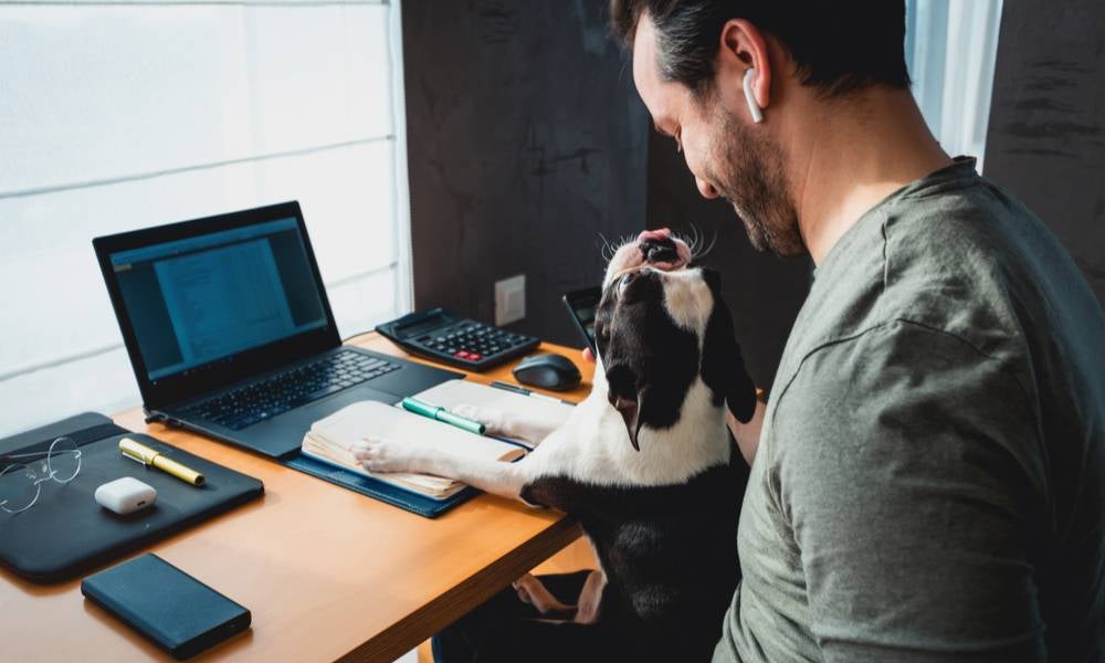 Man working from home with dog on his lap.jpeg