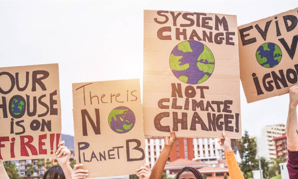 Climate change protestors holding signs (1).jpg
