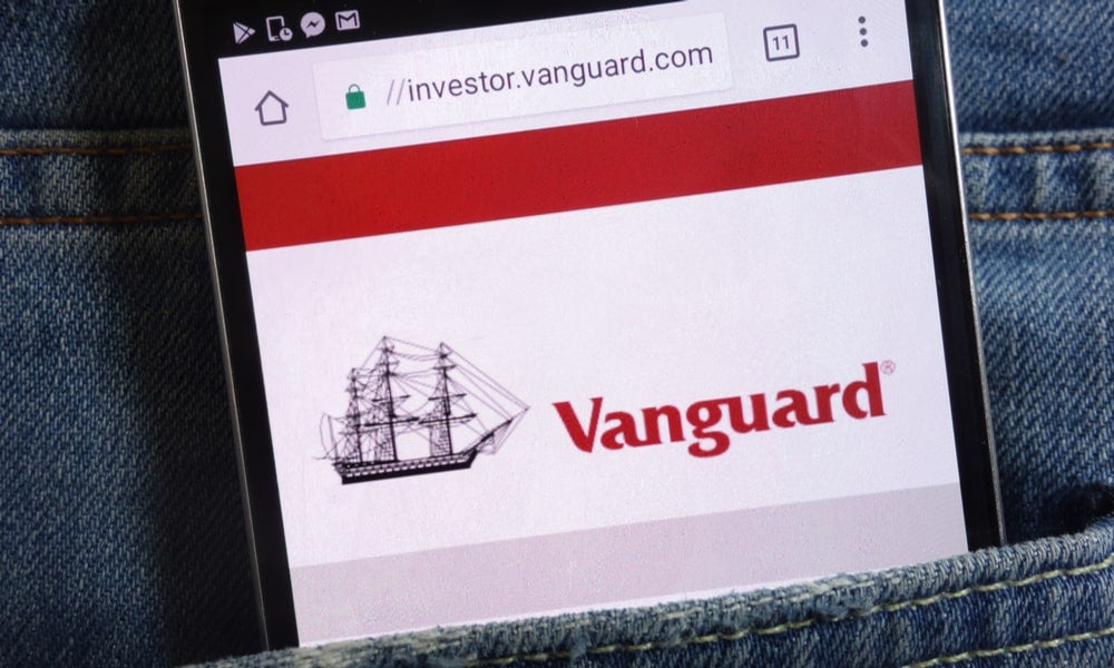 Global fund managers such as Vanguard are increasingly used by retail investors as a low-cost method of accessing the market-min.jpg