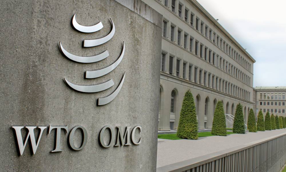 World Trade Organization HQ in Geneva, Switzerland  (1).jpg