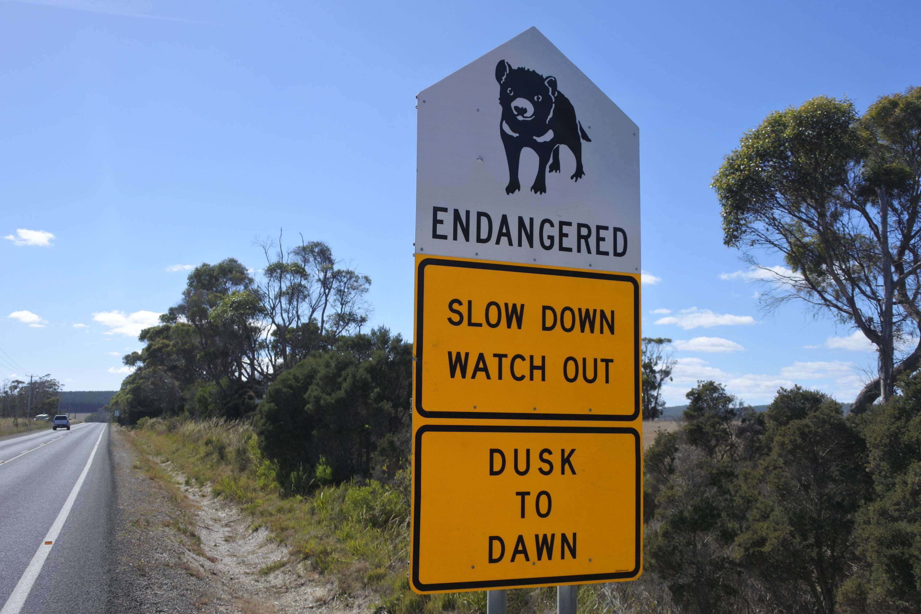 Sign says watch out and drive slow endangered wildlife  (1).jpg