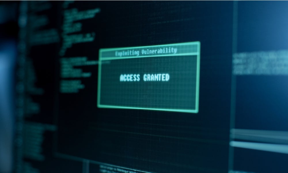 Computer screen reads access granted and exploiting vulnerability-min.jpg