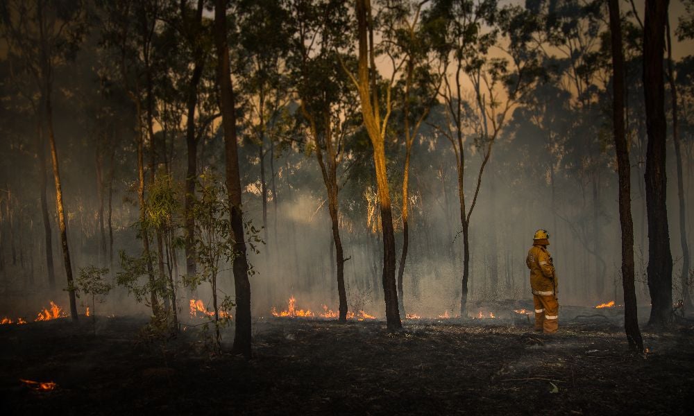 A rural firefighter inspects a bushfire in Queensland, Australia.jpeg