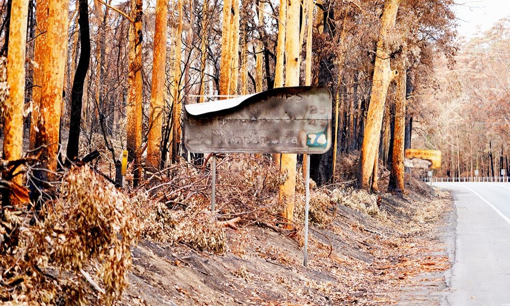 A road sign and bush burned by the 20192020 Black Summer bushfires.jpeg